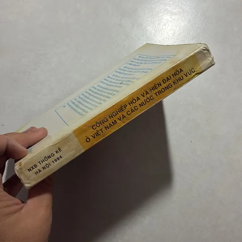 Công nghiệp hoá và hiện đại hoá ở Việt Nam và các nước trong khu vực 727021