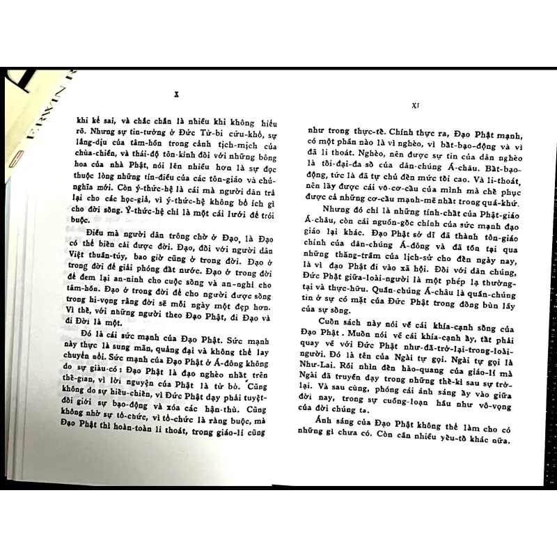 ĐỨC PHẬT GIỮA CHÚNG TA - TRẦN NGỌC NINH 1022037