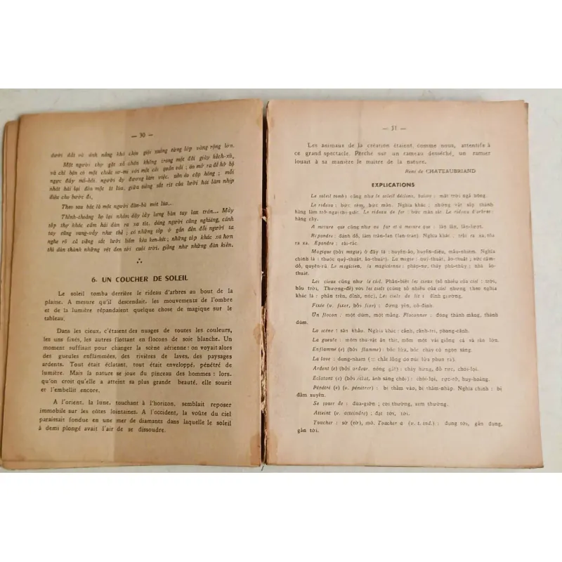 Khảo sát pháp văn 🌻 588496