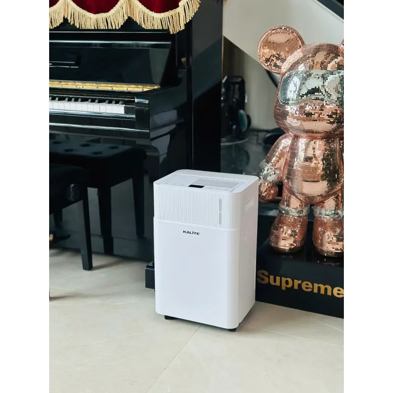 ✨ Máy hút ẩm Kalite DrySense A6 – Dễ sử dụng, an toàn, phù hợp gia đình có trẻ nhỏ! 730758