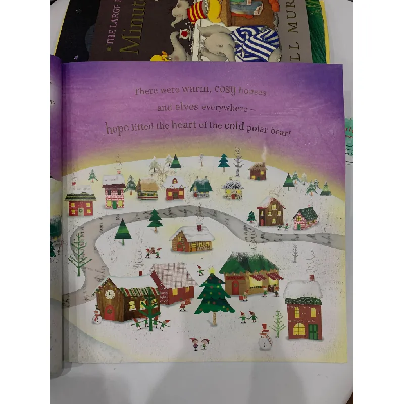 The Polar Bear Who Saved Christmas – Fiona Boon 559689