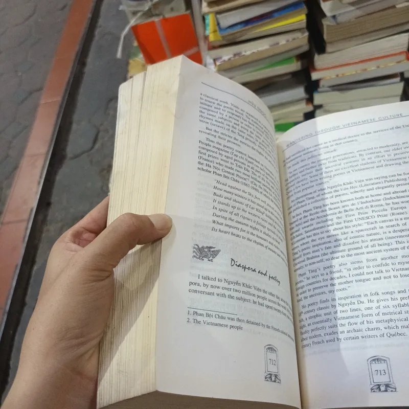 Wandering Through Vietnamese Culture - Hữu Ngọc 1031388