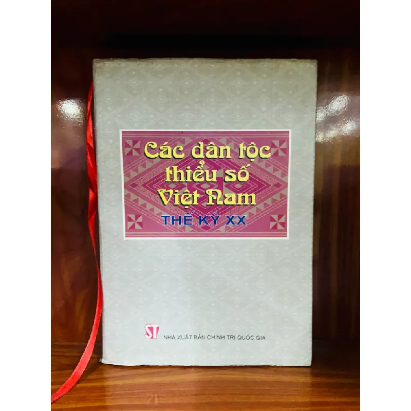 Các dân tộc thiểu số Việt Nam Thế kỷ XX 553937