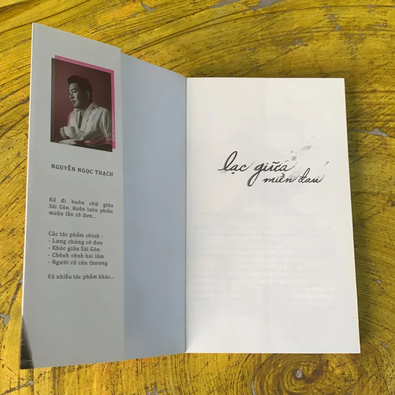 LẠC GIỮA MIỀN ĐAU - NGUYỄN NGỌC THẠCH 746808