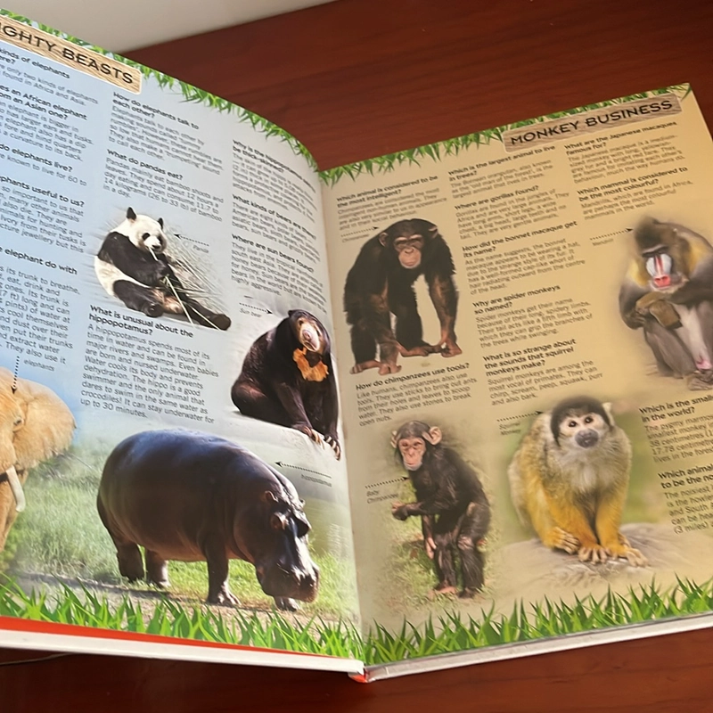 PICTURE BOOK Encyclopedia of world wonders 535980