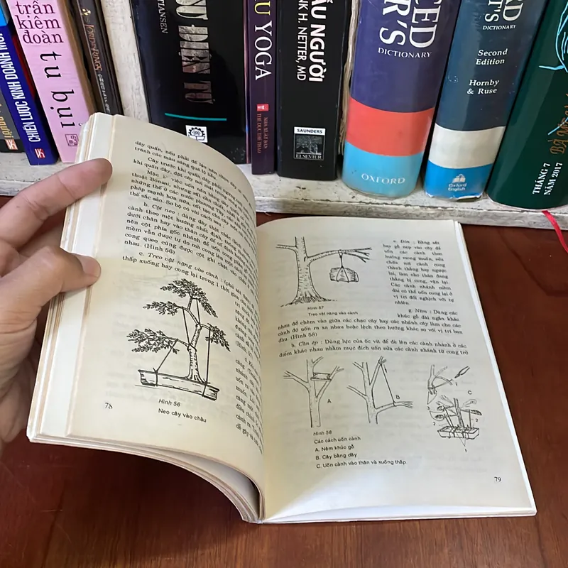II Tựa sách: BONSAI _ Cây Kiểng Cổ - Trần Hợp - 1996 561468