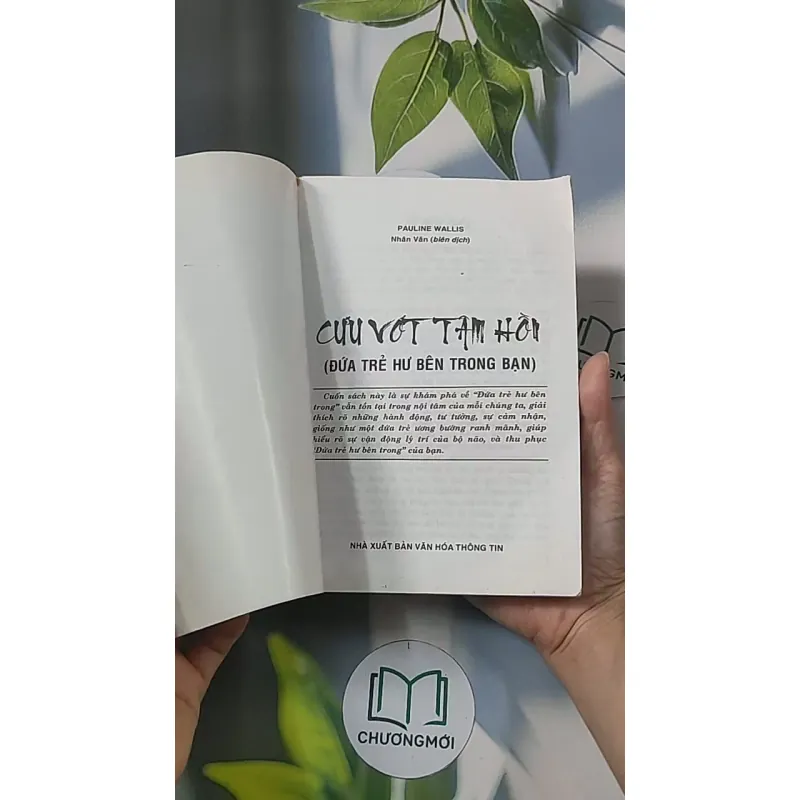 Cứu vớt tâm hồn (đứa trẻ hư bên trong bạn) - Trần Minh Nhật 688513