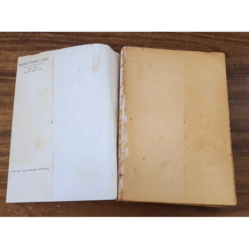 Tiểu thuyết dã sử: NÀNG CHÂU LONG (Như Hiên, 474 trang) 732077