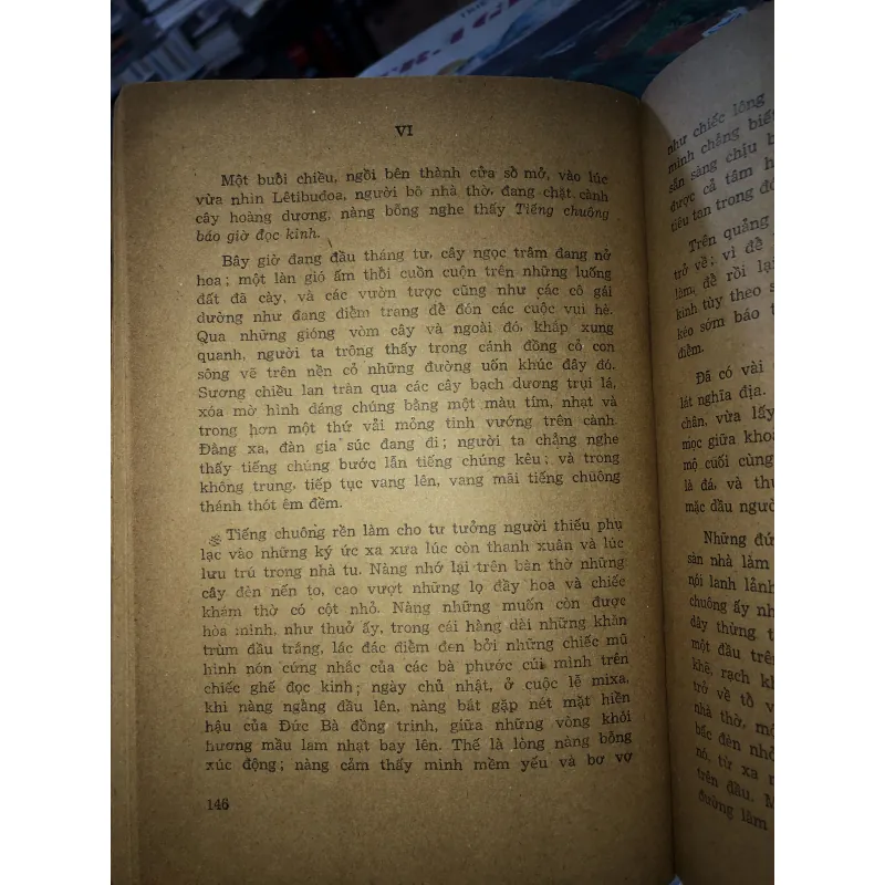 Bà Bôvary - G. Flôbe 790443