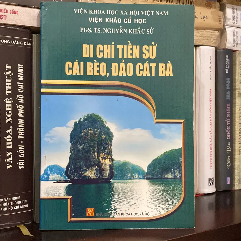 DI CHỈ TIỀN SỬ CÁI BÈO, ĐẢO CÁT BÀ (XB 2010) 590399