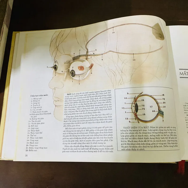 Cẩm nang sức khoẻ gia đình  723379