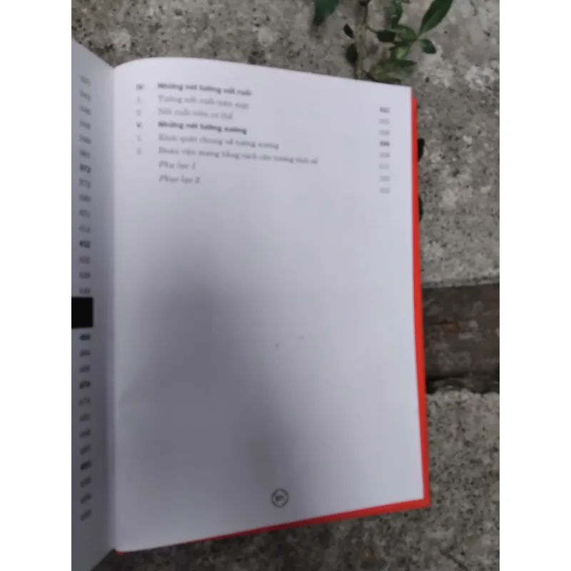 Nhân tướng học tòn thư của Thiệu Vĩ Hoa  1028224