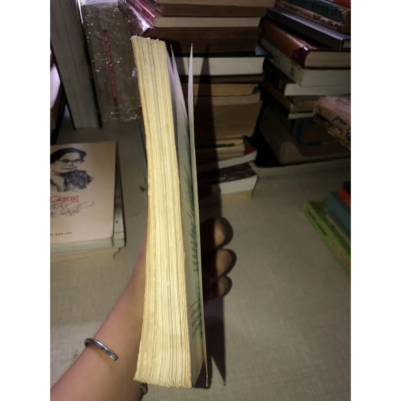 Tiếng Nói Trời Mạnh Thu- Nhiều Tác Giả  934672