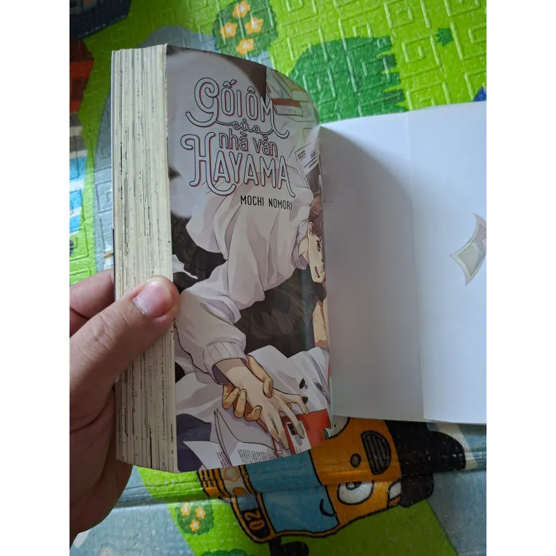 Gối Ôm Của Nhà Văn Hayama 1022883