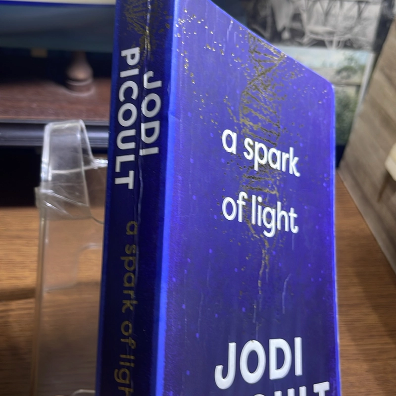 A spark of light Jodi Picoult 517617