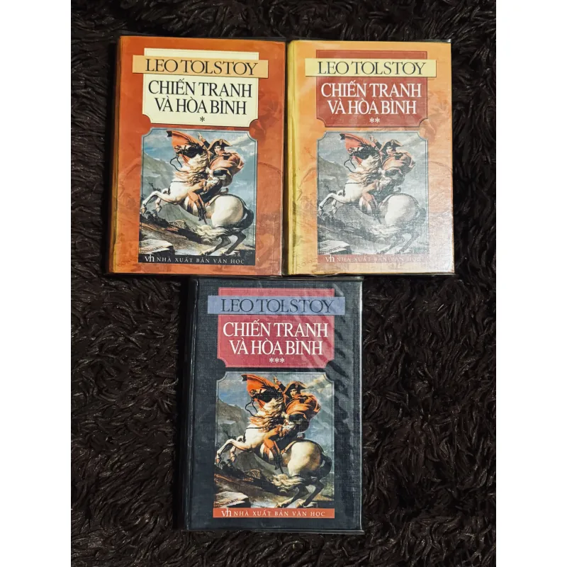 Chiến tranh và hoà bình (bìa cứng)  1013352
