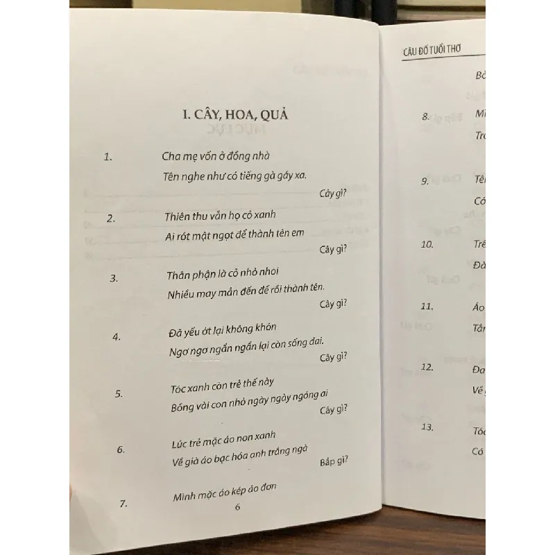 Câu đố tuổi thơ- Lê Thị Lệ Hằng 600718