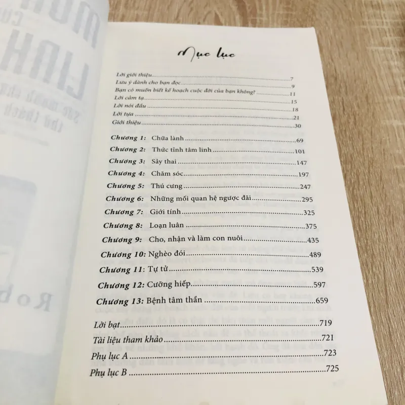 MÓN QUÀ CỦA LINH HỒN - sức mạnh chữa lành của những thử thách trong cuộc sống   1004471