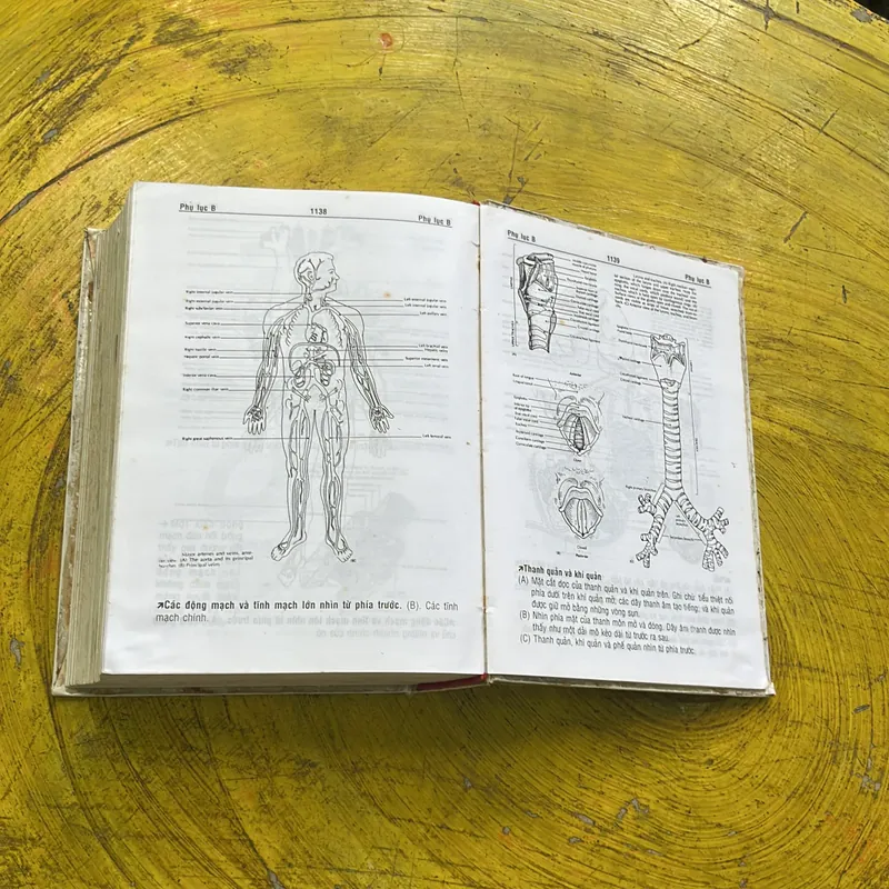 TỪ ĐIỂN Y HỌC ANH- VIỆT- BÁC SĨ PHẠM NGỌC TRÍ 609748