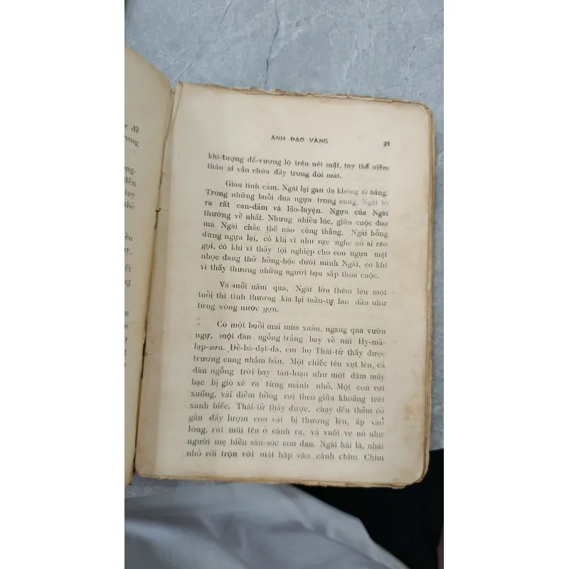 ÁNH ĐẠO VÀNG - VÕ ĐÌNH CƯỜNG 755183