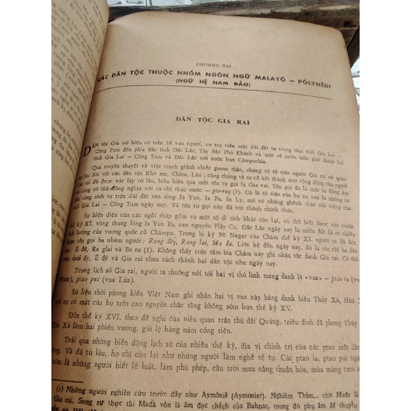 Các dân tộc ít người ở Việt Nam ( Các tỉnh phía Nam ) 1031844