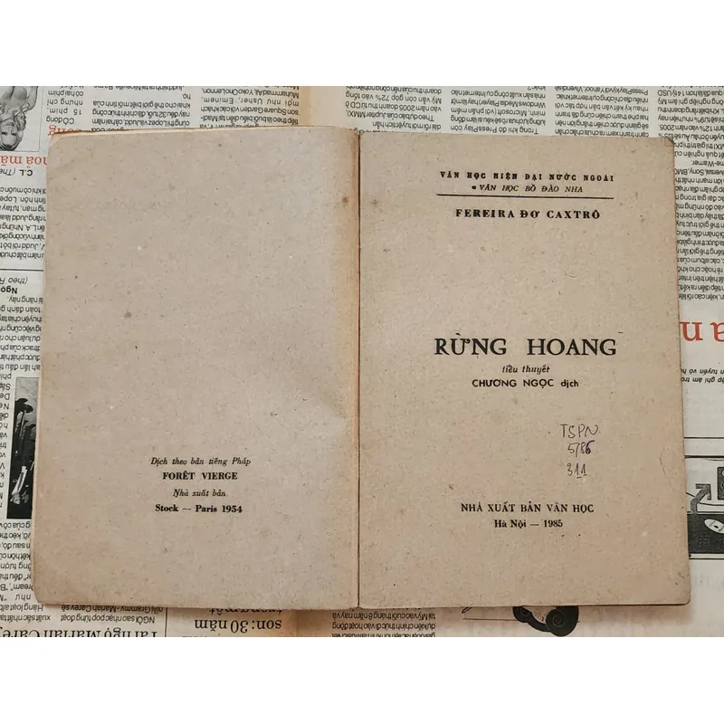 Tiểu thuyết RỪNG HOANG - Ferreira De Castro 719349
