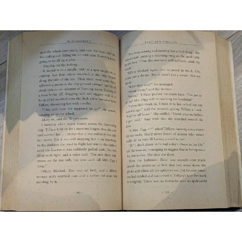 Winter Smith - Terry Pratchett 703639