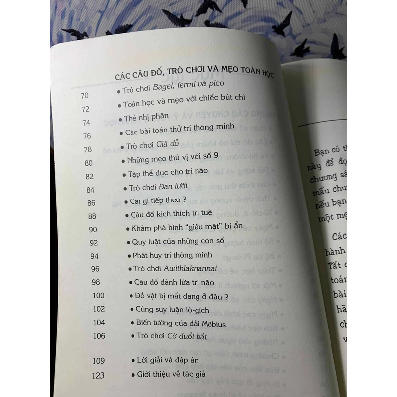 Flexagon Zillion và những ý tưởng toán học khác - Theoni Pappas 547477