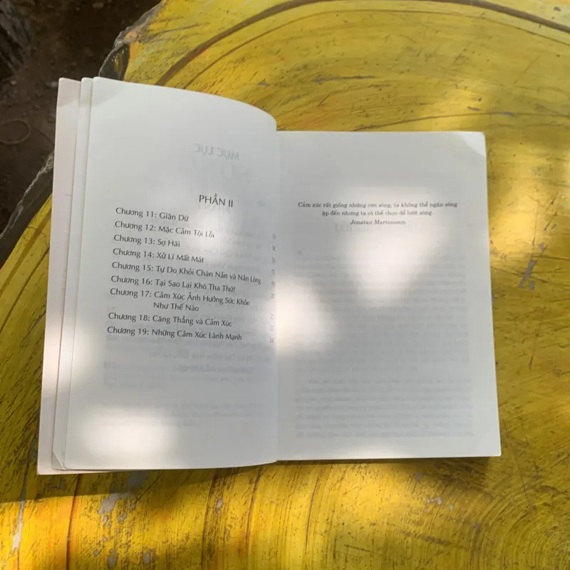 SỐNG VƯỢT TRÊN CẢM XÚC - JOYCE MEYER 937359