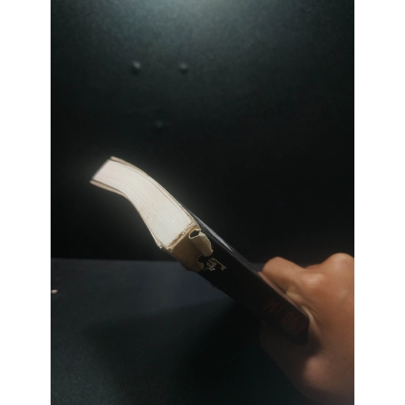 Thế giới Lặng Im 2015 - Khang Trịnh (rách gáy) new 80% HCM1507 437078