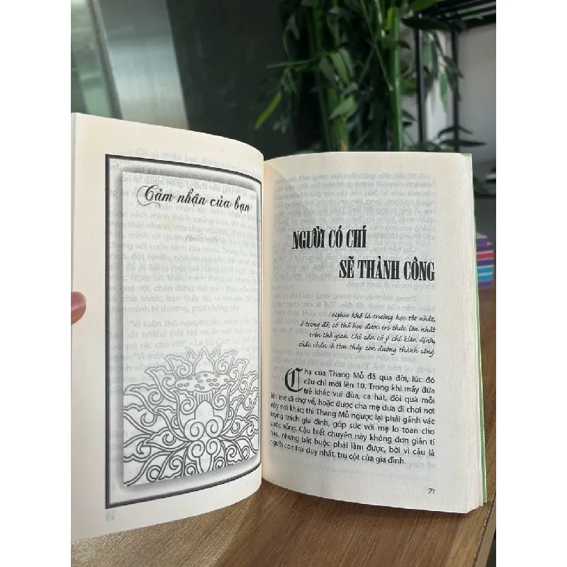 Giàu sang và vui vẻ - Mạch Gia Phi 573277