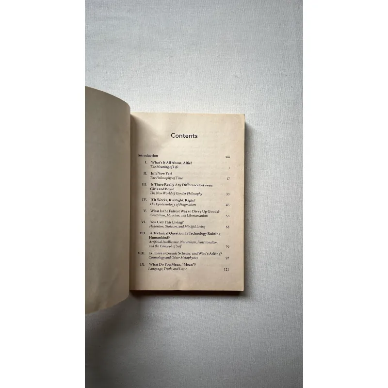 I Think, Therefore I Draw: Understanding Philosophy Through Cartoons 1028879