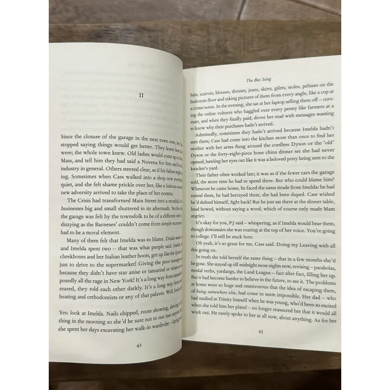 The Bee Sting - Paul Murray 731957