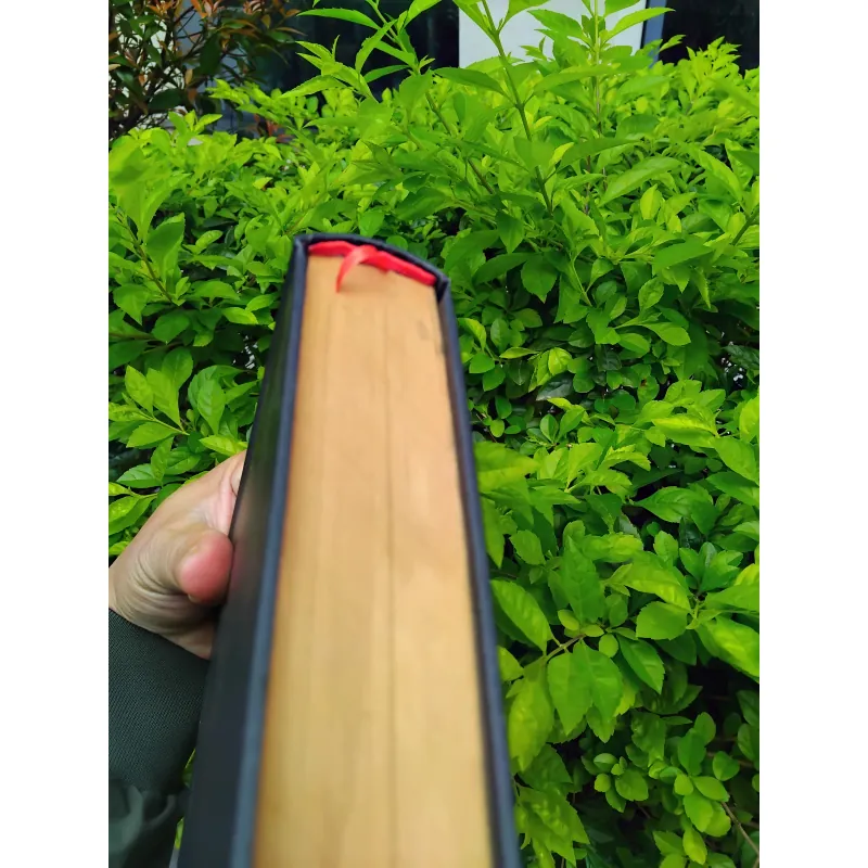 Sự phát triển của tư tưởng Việt Nam từ thế kỷ XIX đến cách mạng tháng Tám  960455