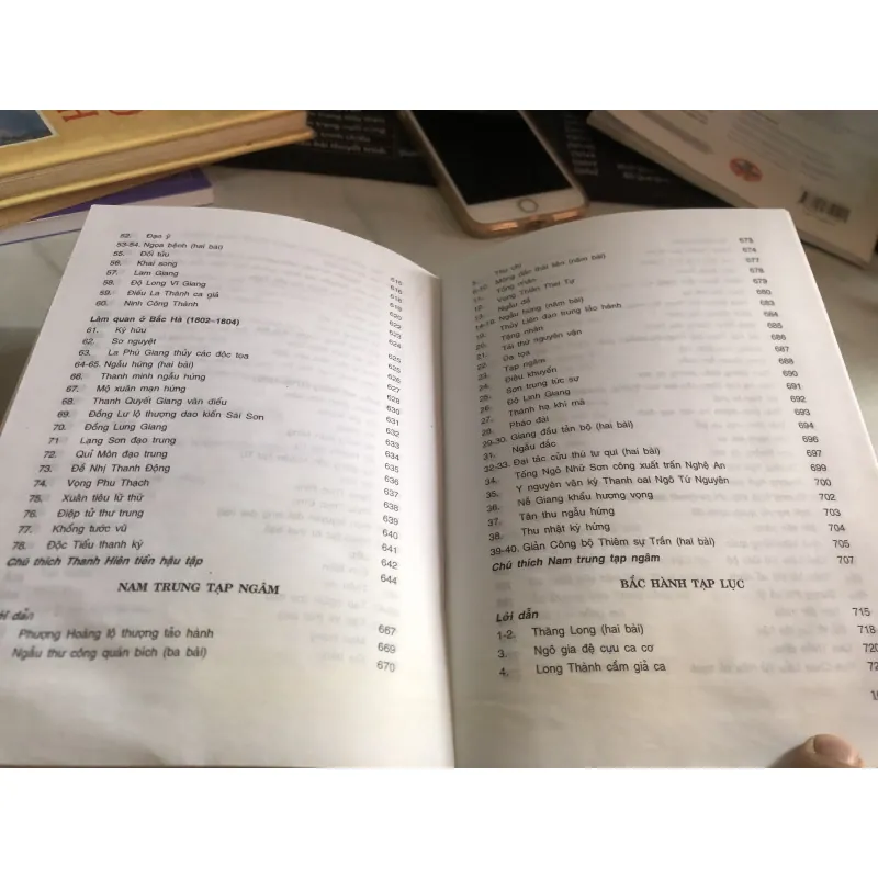 Nguyễn Du tác phẩm và lịch sử Văn Bản - Nguyễn Thạch Giang  1035728