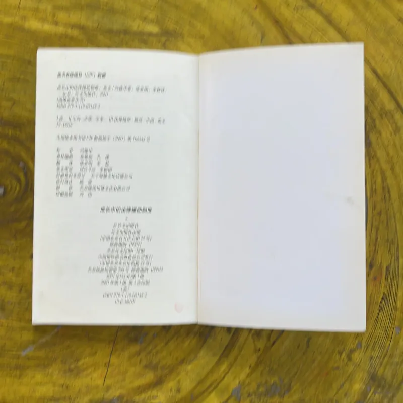 CHINA’S DEVELOPING LEGAL AID SYSTEM 1002596