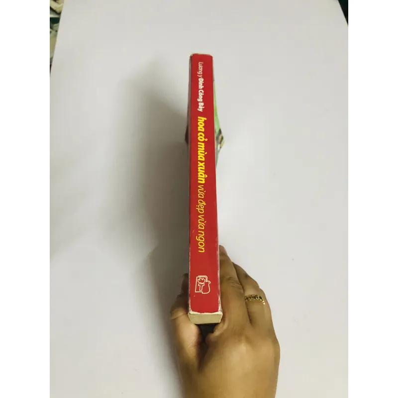 HOA QUẢ MÙA XUÂN VỪA ĐẸP VỪA NGON 693652