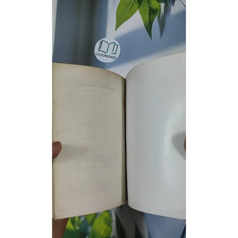 [XƯA] Đèn Lồng Treo Cao (1995) - Nguyễn Thị Châu Giang 798513