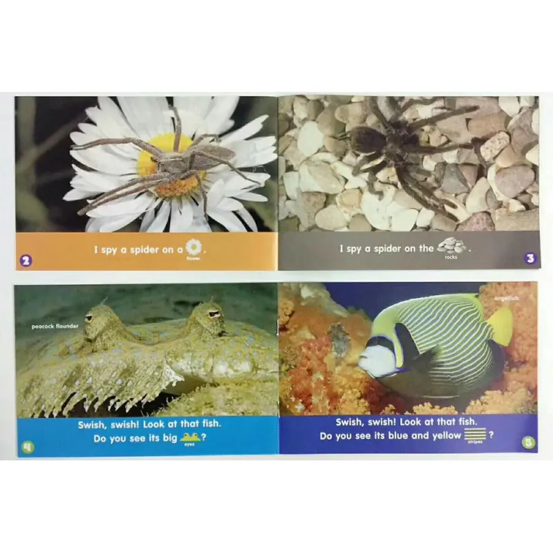 Lets find out level 1+2 (Sách nhập) - Mỗi level 24 quyển + File Mp3 759596