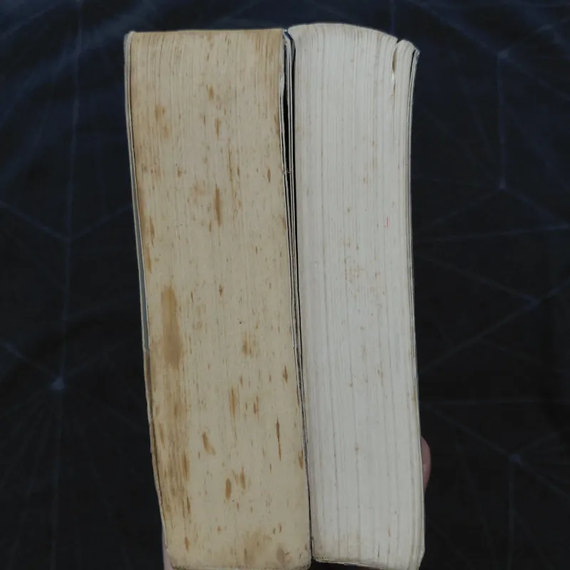 Combo "Mèo hoang" (2 tập) - Đinh Mặc 999792