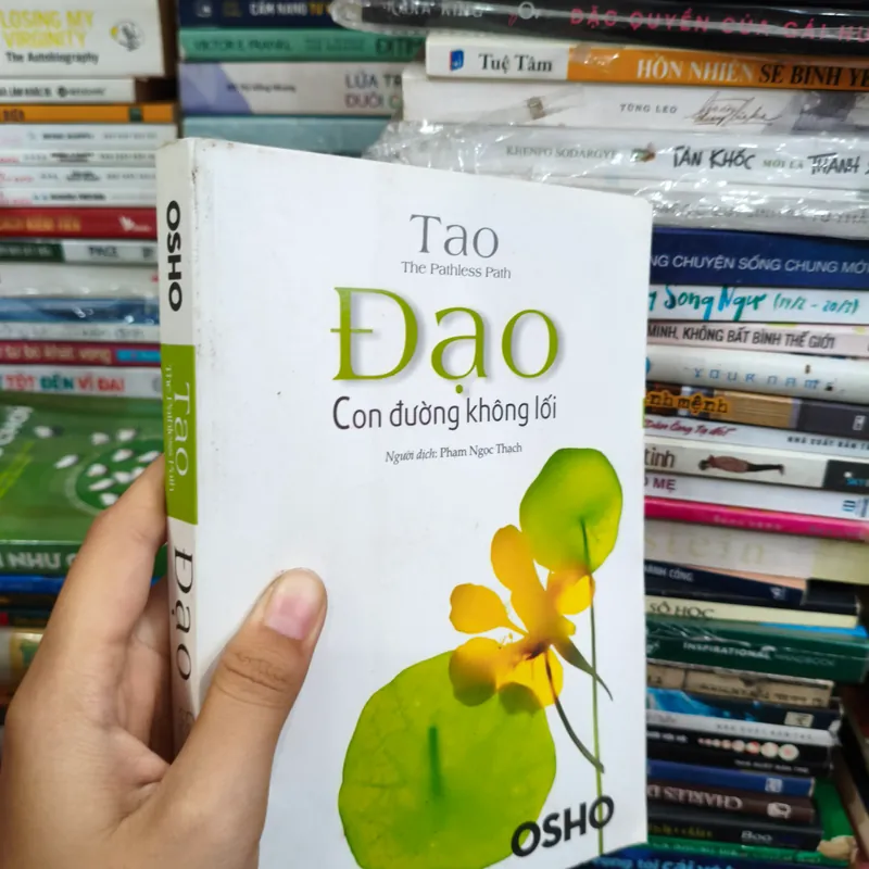 Đạo     🌱 563793