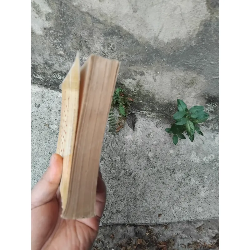 Trạng trình Nguyễn Bỉnh Khiêm  1022826