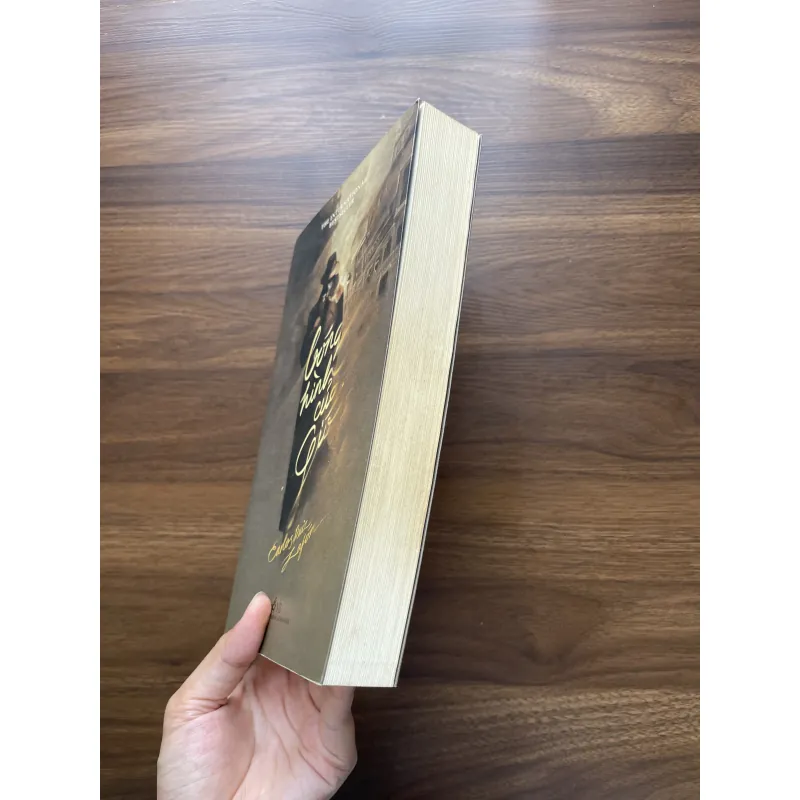 Bóng hình của gió - Carlos Ruiz Zafón 991476