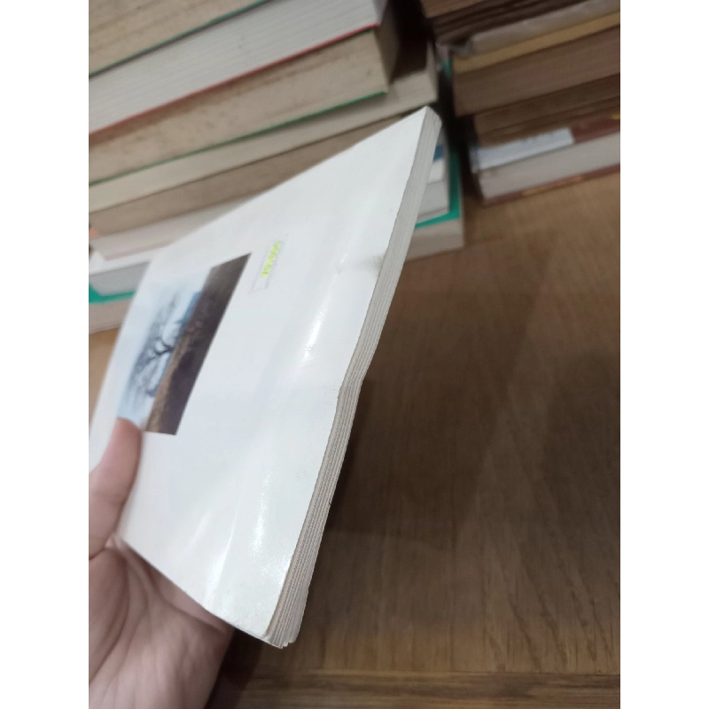 KRONBORG: Billedbog, Picturebook, Illustrierter Führer, Guide Illustré 750175