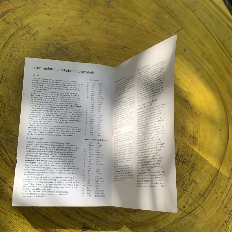 OXFORD GUIDE TO BRITISH AND AMERICAN CULTURE  781693