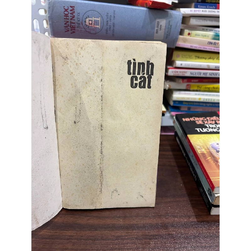 Tình Cát - Nguyễn Quang Lập - Nguyễn Quang Lập 1005808