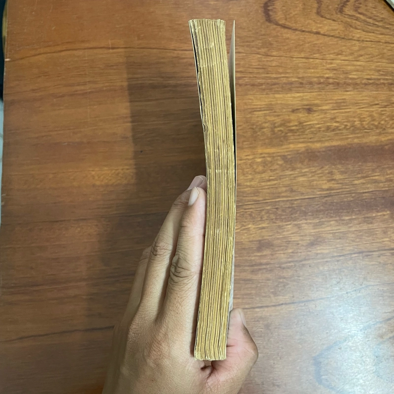 II Truyện Danh Nhân: Trạng Trình _ Sấm và Ký - Nguyễn Nghiệp - 1996/ 1997 418083