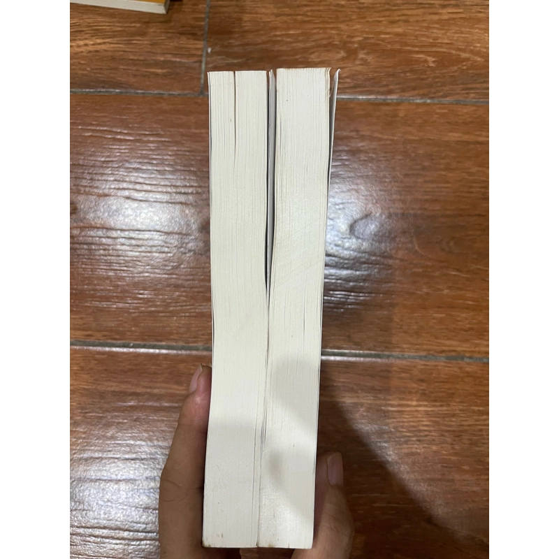 Đại gia full bộ 2 tập - Thiên Sơn (t4) 509563