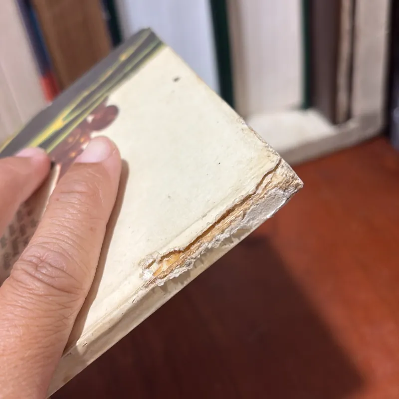 II Kịch Bản: Vai Người Khác Đóng - XécGây MiKhanCốp - 1984 751271