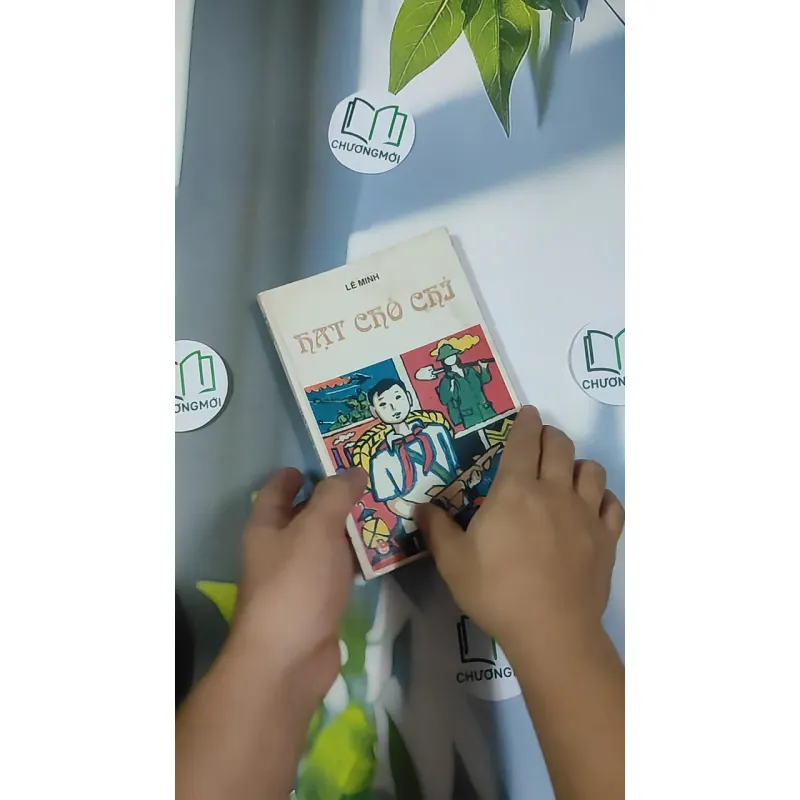 Hạt Chò Chỉ - Lê Minh 798479